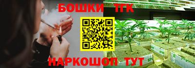 дмт Будённовск