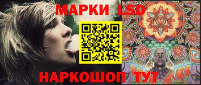 дмт Будённовск